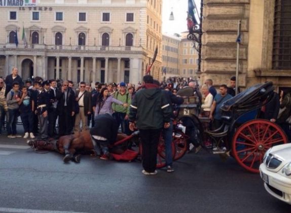 Horse collapses in central Rome - image 2