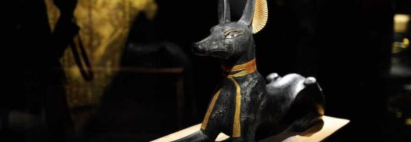 Tutankhamon exhibition at Egyptian Academy in Rome - image 3