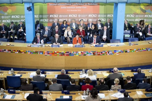 Global nutrition summit meets in Rome - image 1