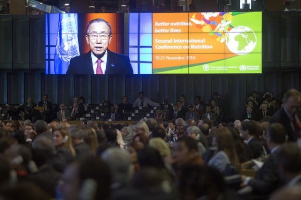 Global nutrition summit meets in Rome - image 2