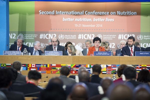 Global nutrition summit meets in Rome - image 3