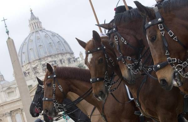 Blessing of the animals in St Peter's Square - image 3