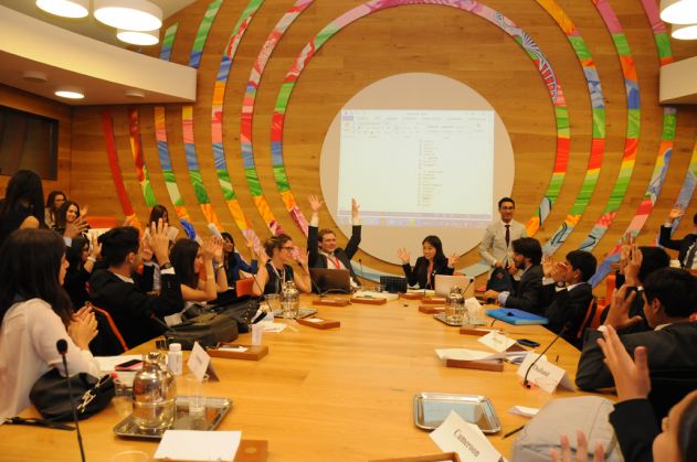 Simulation of the General Assembly for under 30 - image 1