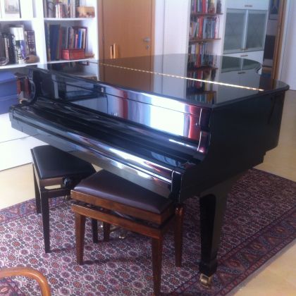 Grand Piano - image 1