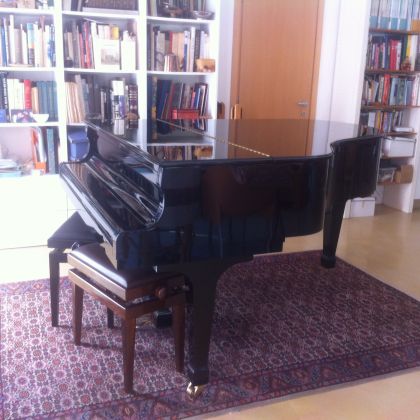 Grand Piano - image 3