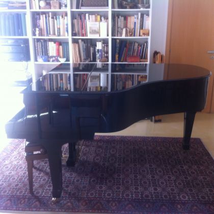 Grand Piano - image 4