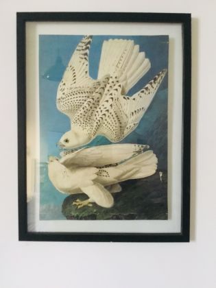 Various Framed Artwork for Sale - image 1