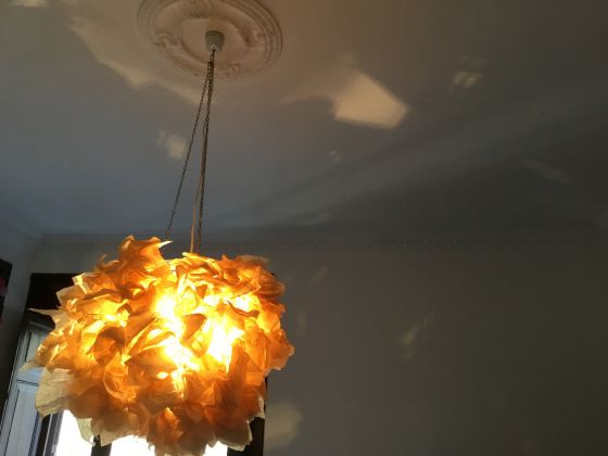 Amazing light fixture! - image 1