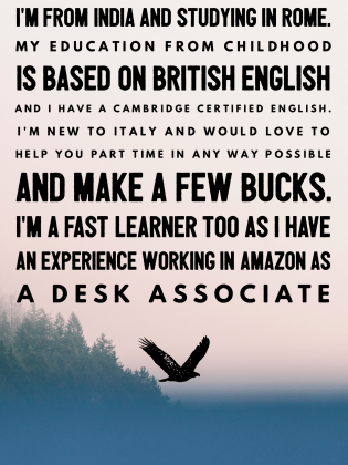 Excellent English Speaker/Dog Walker-Sitter/Household Jobs - image 3