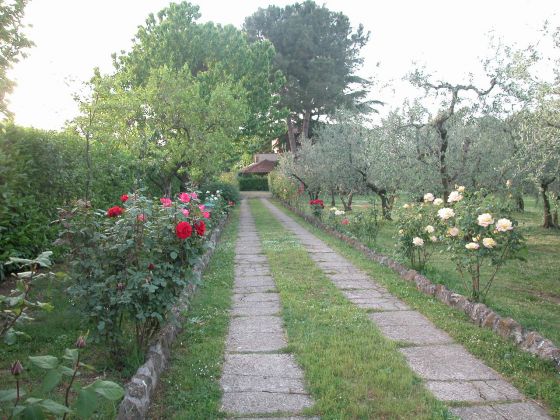 Zagarolo - Charming bi-level villa for sale - image 10