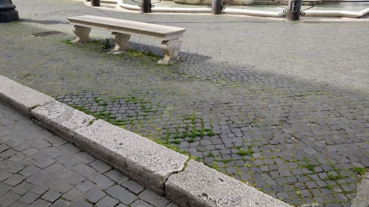 Rome: Grass grows in deserted Piazza Navona - image 9