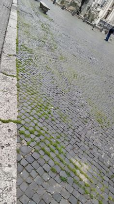 Rome: Grass grows in deserted Piazza Navona - image 10