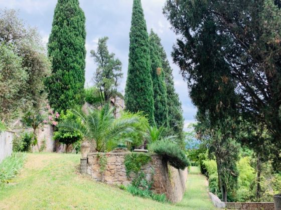 Holiday house in Umbria - La Torre Olivara - image 4