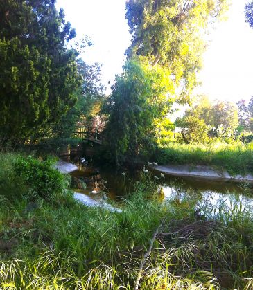 Villa close to the sea with garden and pond - image 6