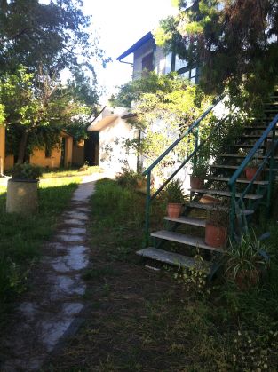 Villa close to the sea with garden and pond - image 4