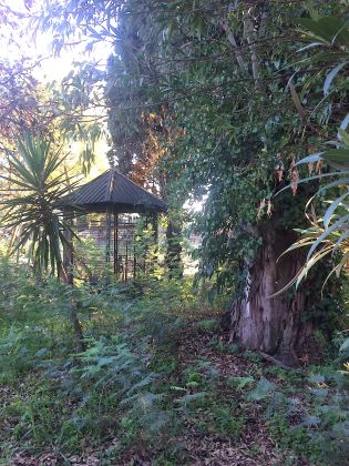 Villa close to the sea with garden and pond - image 7