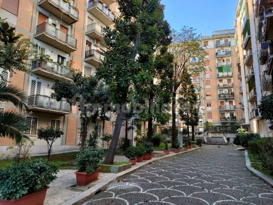 Renovated three-room apartment, sixth floor, Monteverde Vecchio, Rome - image 3