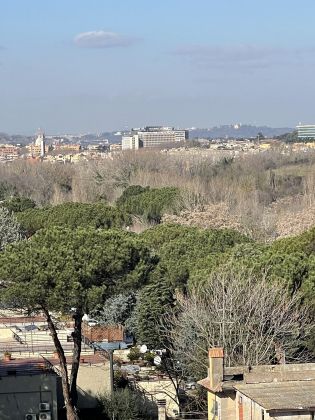 Bright 3-bedroom top floor apartment with terrace Ardeatina - image 20
