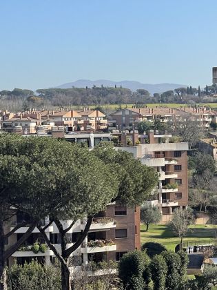 Bright 3-bedroom top floor apartment with terrace Ardeatina - image 9