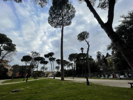 Elegant 4-bedroom apartment near Villa Torlonia - image 16