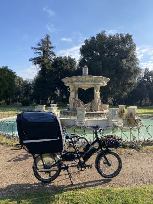 RadWagon4 Cargo Bike - image 3