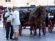 Rome's horse-drawn carriages here to stay - image 2
