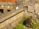 Rome cat sanctuary gets eviction order - image 4