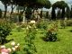 Rome’s rose garden - image 4