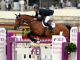 Rome’s Piazza di Siena horse show - image 1