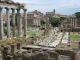 Colosseum, Palatine and Roman Forum - image 3
