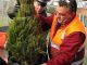 Rome recycles Christmas trees - image 1