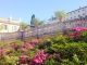 Rome’s Spanish Steps in full bloom - image 3