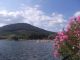 Lake Vico - image 2