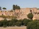 Colosseum, Palatine and Roman Forum - image 1