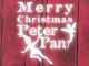 Merry Christmas Peter Pan - image 3
