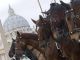 Blessing of the animals in St Peter's Square - image 3