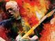 David Gilmour - Live at Pompei special offer for WIR Card Holders - image 1
