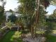 141sqm house with 350sqm garden near the beaches of Rome - image 5