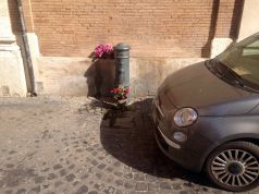 Flowers, nasone and 500...Rome