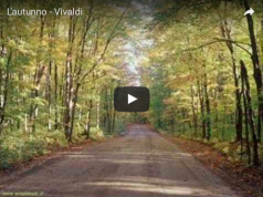 Autumn is coming.. Vivaldi