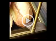 Mouse eats baguette in Fiumicino Airport