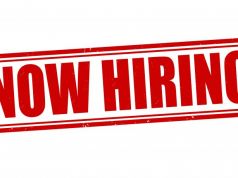Seeking graphic designer