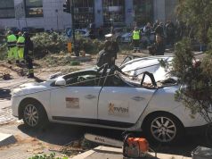 Falling tree hits a taxi at traffic lights in Rome, Lungotevere. (2) ph: Valentina Tocchi