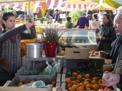 Rome farmers' market at Circus Maximus