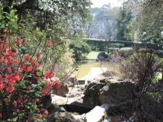 Japanese Gardens at Rome's Japanese Cultural Institute