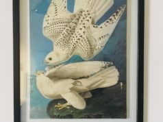 Various Framed Artwork for Sale
