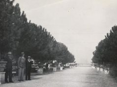 Rome's Orange Garden in the 1930s