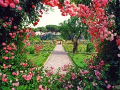 The story of Rome's rose garden
