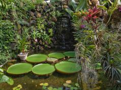 Ischia: La Mortella Gardens reopen to tourists