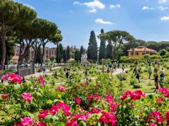 Rome plants hundreds of new roses in city's rose garden